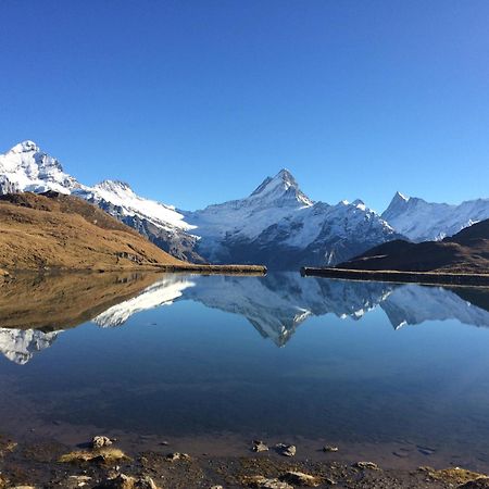 Chalet Verbrunnenhaus Grindelwald Dış mekan fotoğraf