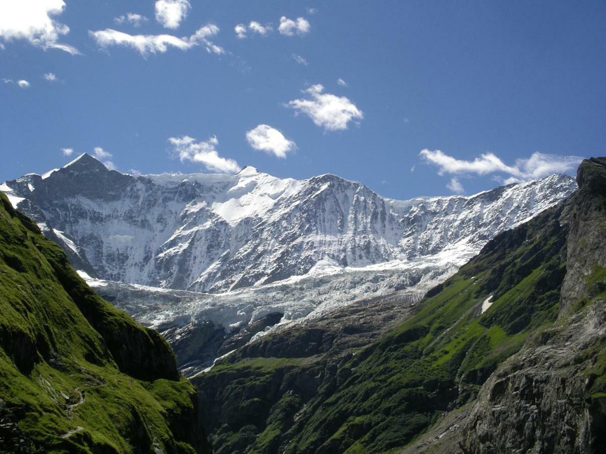 Chalet Verbrunnenhaus Grindelwald Dış mekan fotoğraf