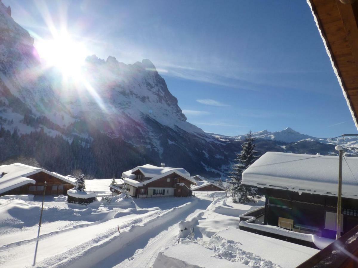Chalet Verbrunnenhaus Grindelwald Dış mekan fotoğraf