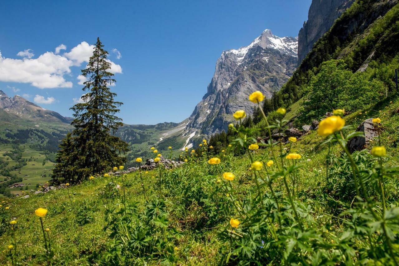 Chalet Verbrunnenhaus Grindelwald Dış mekan fotoğraf
