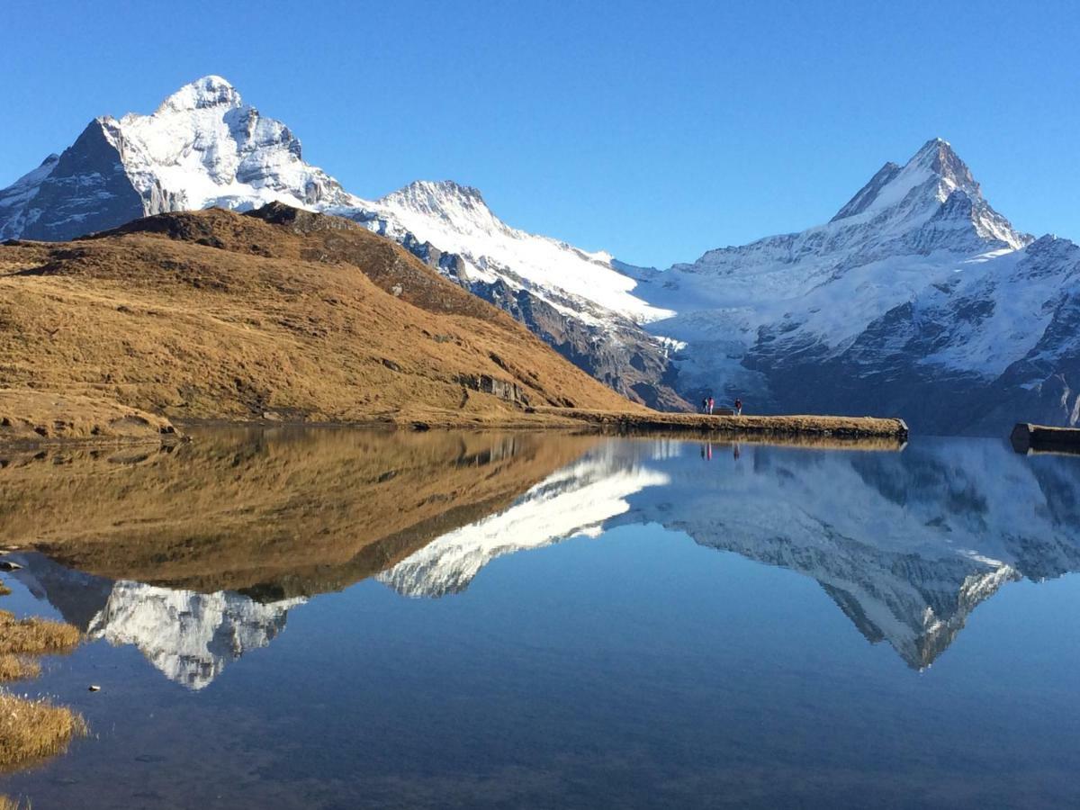 Chalet Verbrunnenhaus Grindelwald Dış mekan fotoğraf